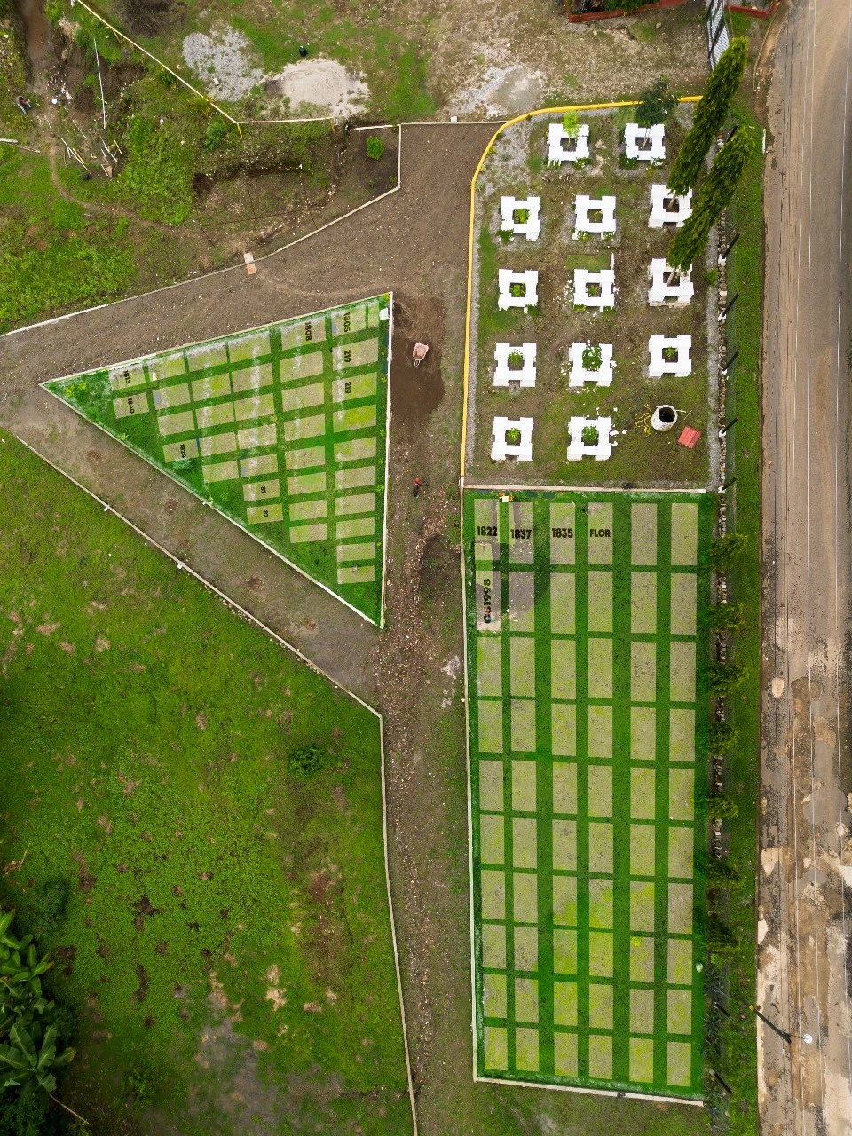 Vista del jardín 1