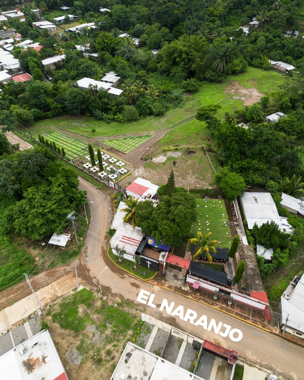 Vista del jardín 2