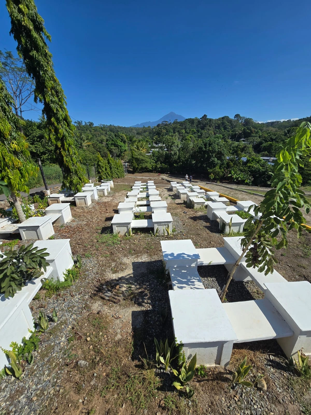 Espacio Tipo Ecologico