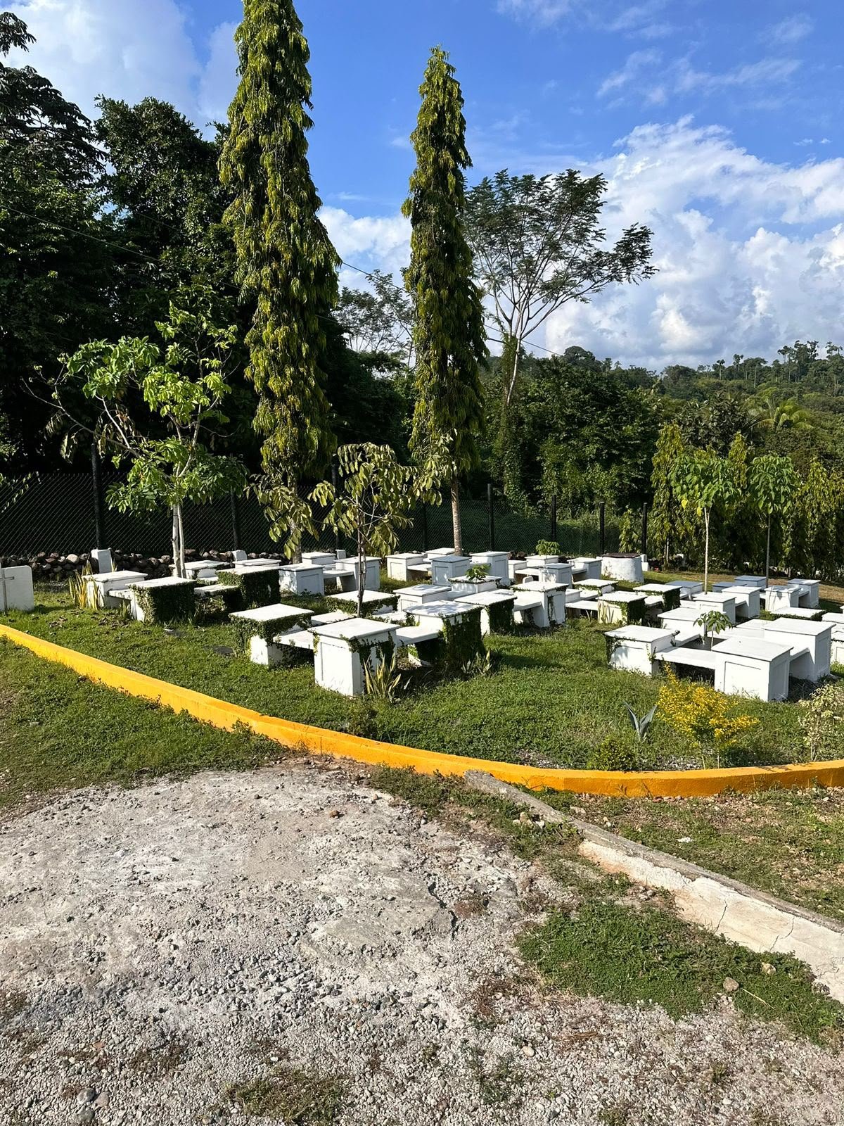 Banca ecológica 5