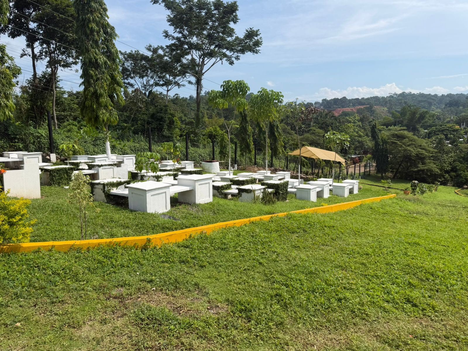 Banca ecológica 6