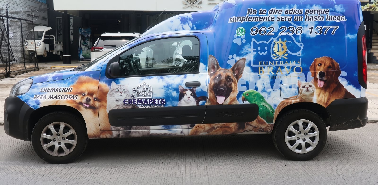 Traslado de tu mascota
